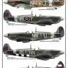 AML AMLD48040 Decals 310 Squadron RAF 1/48