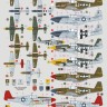 Dk Decals 48069 P-51B/C Mustang o. Western Europe (10x camo) 1/48
