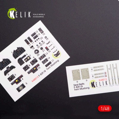 Reskit K48013 F-82 (F,G) 'Twin Mustang' interior 3D (MSVIT) 1/48