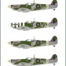 Model Maker Decals D48134 Supermarine Spitfire Mk.V in Polish service part II 1/48