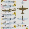 Dk Decals 72143 311th FG Mustangs over China (9x camo) 1/72