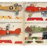 Print Scale 72490 Adam's head' on the wings of the Great War 1/72