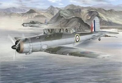 Special Hobby S72140 Blackburn Skua Mk.II (3x camo) 1/72