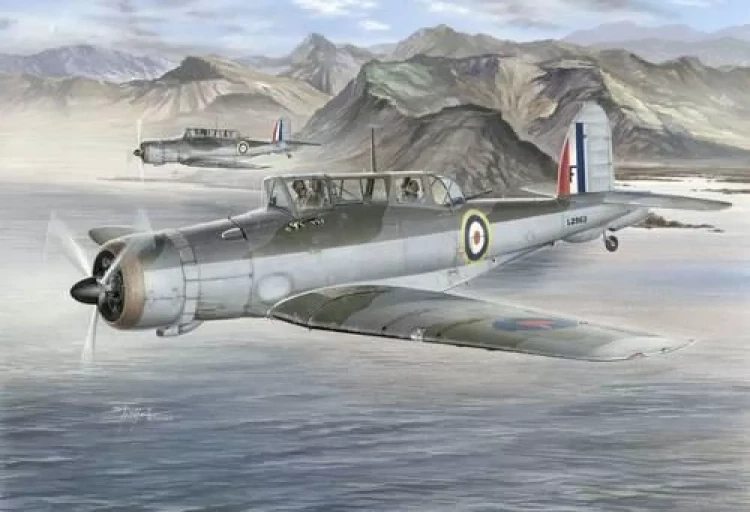 Special Hobby S72140 Blackburn Skua Mk.II (3x camo) 1/72