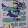 Kora Model DEC72247 Curtiss Hawk H-75 A-4 (Luftwaffe) декали декали 1/72