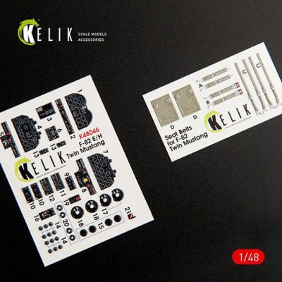 Reskit K48046 F-82 E/H Twin Mustang - Interior 3D (MSVIT) 1/48