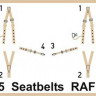 Eduard 73025 Seatbelts RAF early SUPER FABRIC