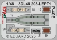 Eduard 3DL48208 P-40E SPACE (EDU) 1/48