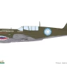 Eduard 11193 P-40N Warhawk 15,000th (Limited Edition) 1/48