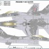 Model Maker Decals MD72138 Lockheed-Martin F-16C RAVEN 100TH Anniversary of Polish Air Force 1/72