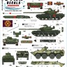Star Decals 72-A1153 War in Ukraine # 14. The Wagner Group Coup in 2023. T-80BV and BTR-82A 1/72