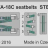 Eduard 49795 F/A-18C seatbelts STEEL 1:48