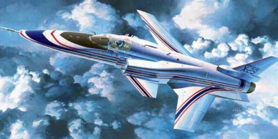 Hasegawa 00243 Самолет X-29 (HASEGAWA) 1/72