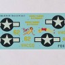 Foxbot Decals FBOT72019 Pin-Up Nose Art Douglas C-47 and Stencils, Part 3 1/72
