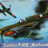 AZ Model AZML72022(AZL7222) Curtiss P-40E 'Warhawk' (2x USAF) 1/72