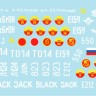 Star Decals 35-C1289 War in Caucasus # 3. 1st and 2nd Chechen War 1994-2009. Soviet BMD-1 and BMP-1P 1/35