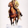 HAT 8077 Persian Light Cavalry (Alexander) 1/72
