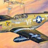 Tamiya 61042 P-51B Mustang 1/48