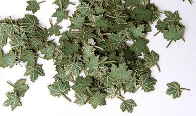 Plus model 253 Green leaves - maple 1:35