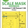 Art Scale 200-M48030 Grumman F-14D Tomcat wheels and canopy frame paint masks (inside and outside) 1/48