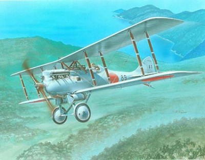 Frrom Azur FR0006 Nakajima KO-4: 3 x Japanese and 1 Siamese decal. 1/72