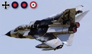 Italeri 02668 Tornado IDS &quot;Black Pаnthers&quot; 1/48