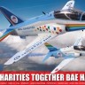 Airfix 73100 NHS Charities Together Hawk 1/72