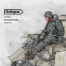 Stalingrad 3226 Гренадер СС в парке на танке 1/35