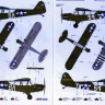 Special Hobby SH48218 L-4 Grasshopper From Africa to Central Europe 1/48