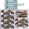 Echelon FD D356272 3-73 AAR M551A1 TTSs IN OPERATION DESERT STORM 3-73 Airborne Armor Regiment Sheridans during Operation Desert Storm 1/35