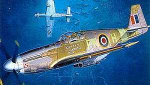 Tamiya 61047 N.A.RAF Mustang III 1/48