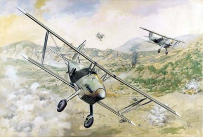 Roden 48427 Arado Ar 68E 1/48