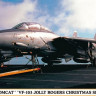 Hasegawa 02391 F-14B"Vf-103 Jolly Rogers 1/72