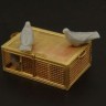 Hauler HLX48311 U.S. pigeons of war 1/48