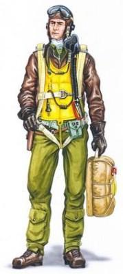 Plus model AL4036 Pilot P-47 1:48