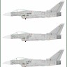 Model Maker Decals D32095 German Eurofighter EF-2000A Typhoons Stencils and insignias 1/32
