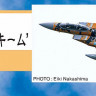 Hasegawa 02392 F-15Dj Eagle "Aggressor 1/72