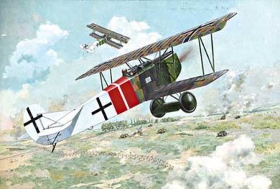 Roden 48424 Fokker D.VII (Albatros built, late) 1/48
