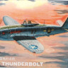 Mini Hobby Models 80404 Американский самoлет Thunderbolt P-47D 1/144