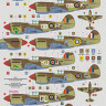 Dk Decals 72082 SAAF Kittyhawks (8x camo) 1/72