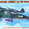 Kora Model KPK72043 CW 22 Falcon Netherlands in East India AF 1/72