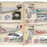 Print Scale 72510 Nieuport N. 17- N. 241. Nieuport 24 n° N 4663 du Sgt Andre Levy - Dessin David Mechin. 2. Nieuport 21E1 No. 4227 Advanced Pilot’s School In Grudziadz, July 192 1/72