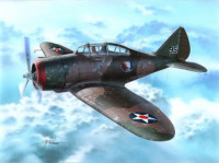 Special Hobby SH72262 P-35 "War games and War Training" 1/72