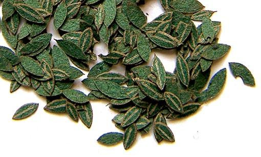 Plus model 283 Green leaves - cherry 1:35