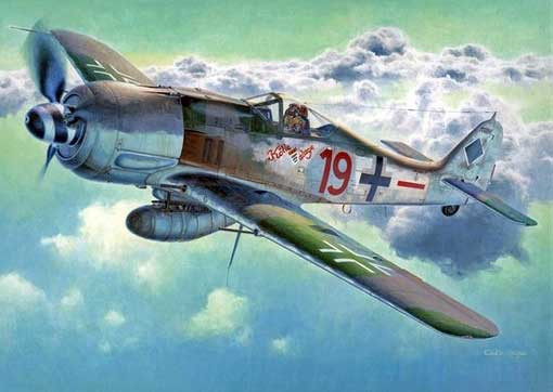 Hasegawa 09094 Fw 190A-8 1/48