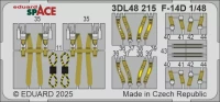 Eduard 3DL48215 F-14D SPACE (G.W.H.) 1/48