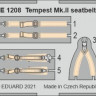Eduard FE1208 Tempest Mk.II seatbelts STEEL (EDU) 1/48