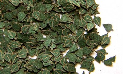 Plus model 284 Green leaves - birch 1:35