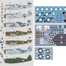 Dk Decals 48076 P-47D Thunderbolt CBI 1944-45 (7x camo) 1/48