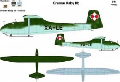 Fly model 48031 Grunau Baby IIB (Poland) 1/48